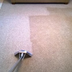 Carpet Cleaning Sydney